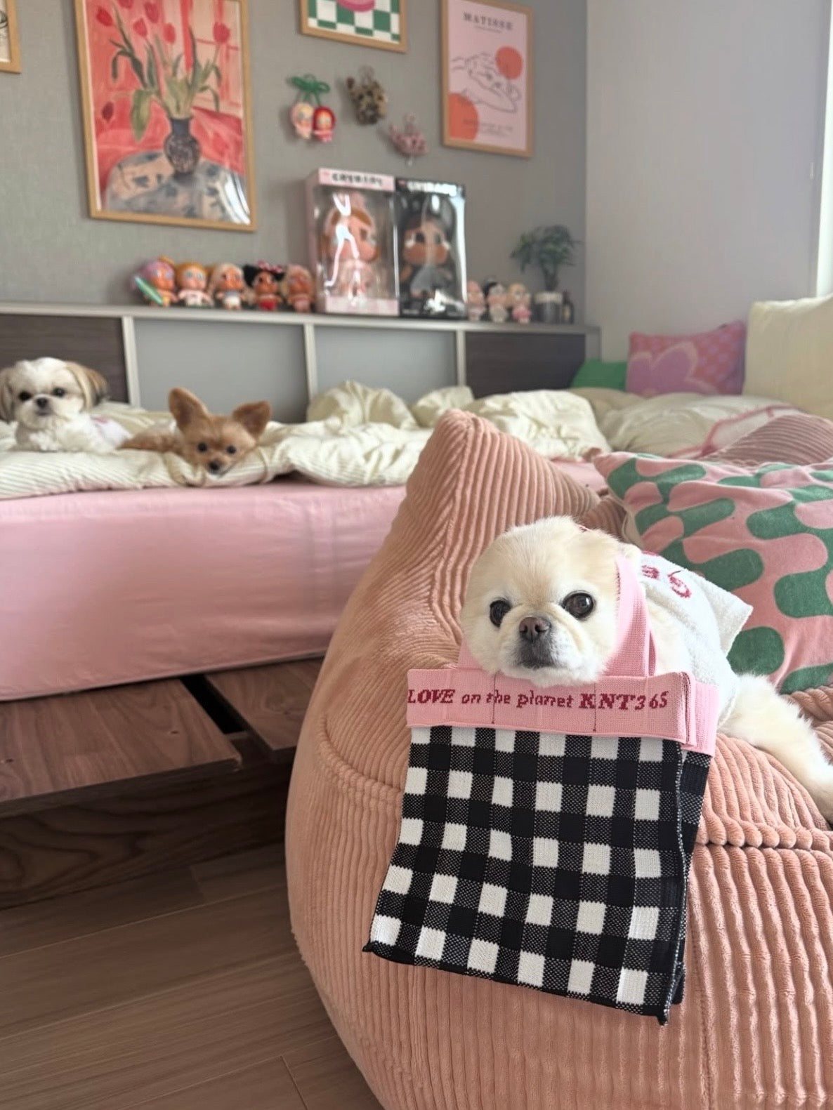 Co-Knitty / Gingham