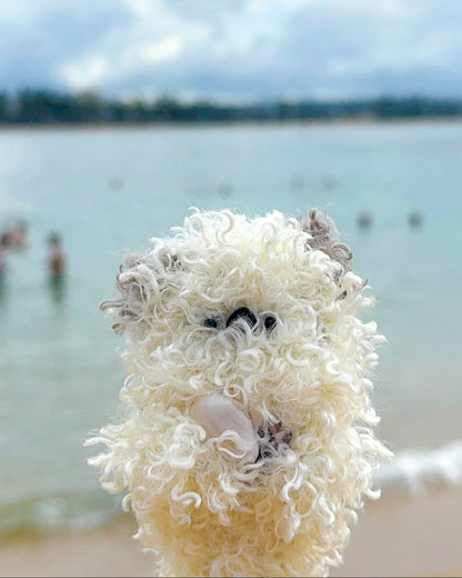 Sea Otter Keycharm / Shelly